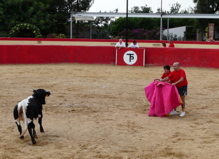 capeas-malaga